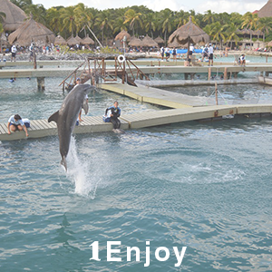 Enjoy discounts